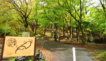 八瀬もみじの小径